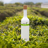 GREEN TEA SHAMPOO (FOREST GREEN) 400ML