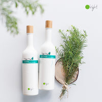TEA TREE SHAMPOO 400ML
