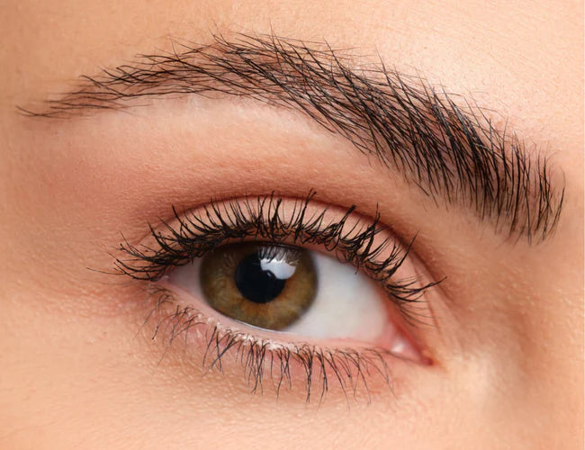 close up of eyebrow