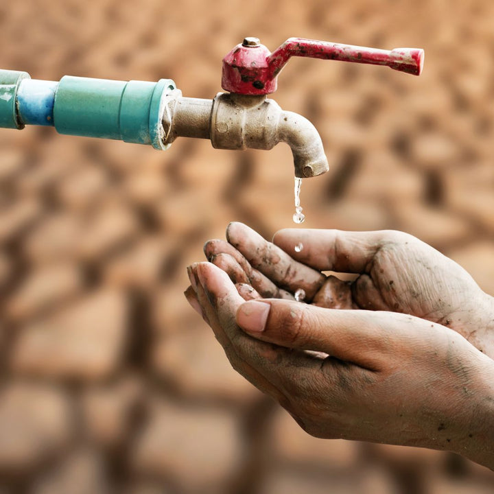 Water Scarcity in South Africa: Why You Should Be Worried and How to Start Saving Water