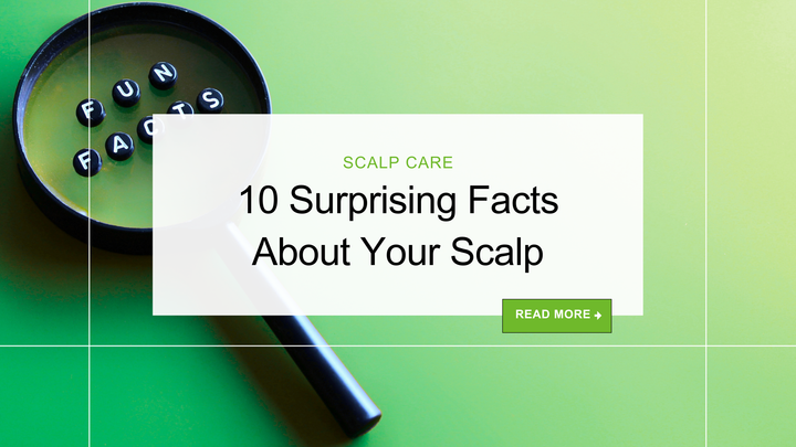 banner for 10 scalp facts