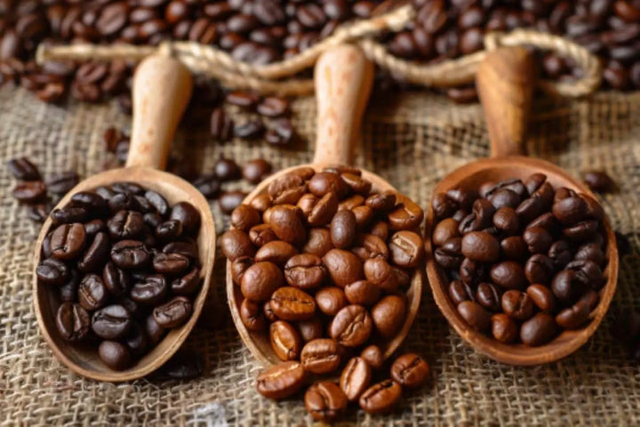 ifferent type of coffee beans in coffee scoops