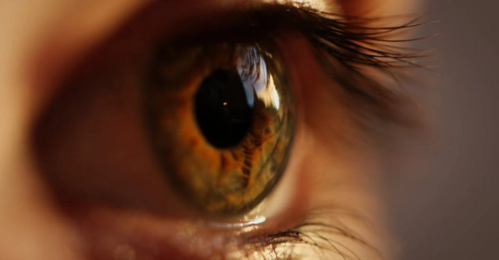 close up of an eye