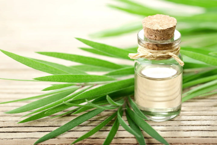 tea tree oil